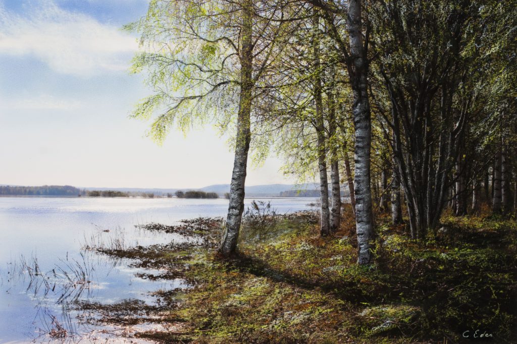 Spring light - 17000 SEK