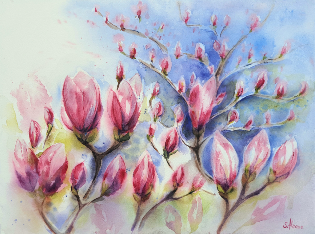 Magnolia Blossoms